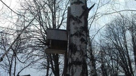 Акция «Час добра!» прошла в Тбилисском районе